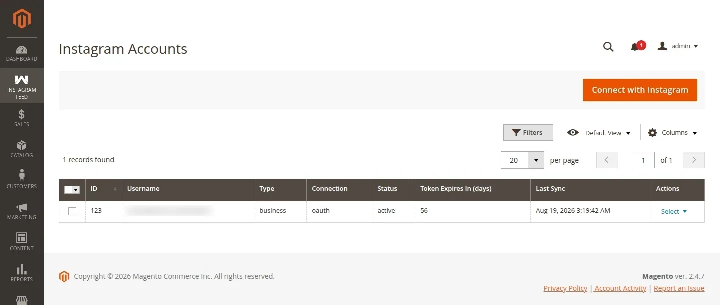 The Accounts grid listing one connected business account with its status, token expiry in days and last sync time